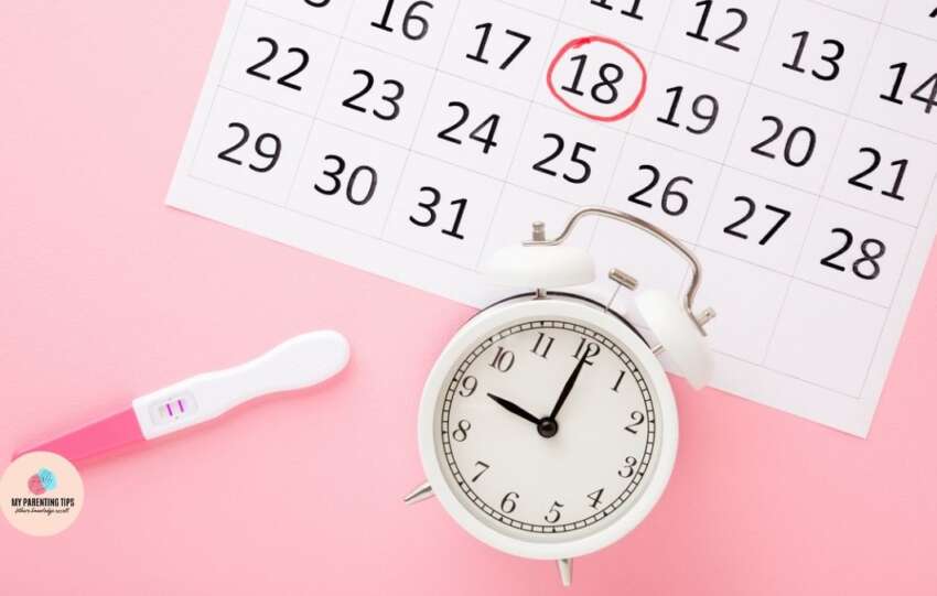 Ovulation Calculator