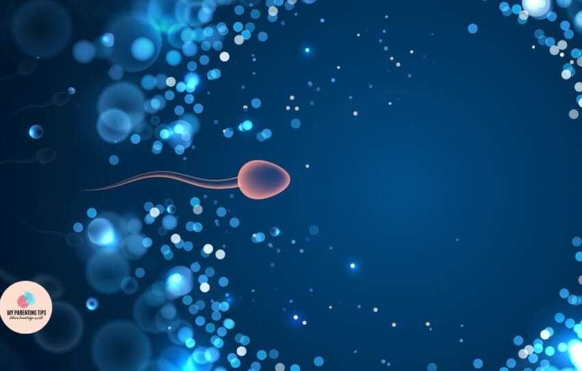 Fertility