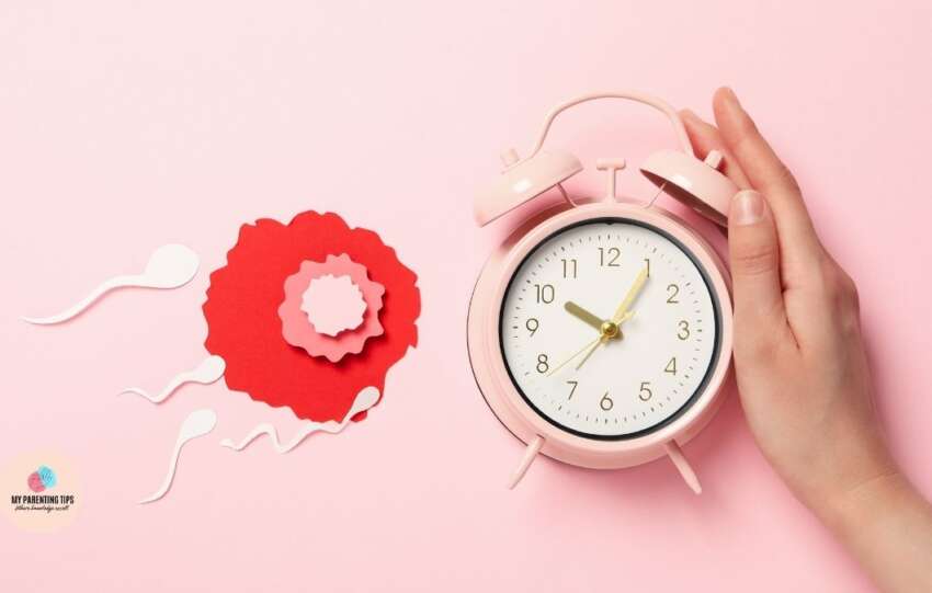 Benefits of Using an Ovulation Calculator for Family Planning