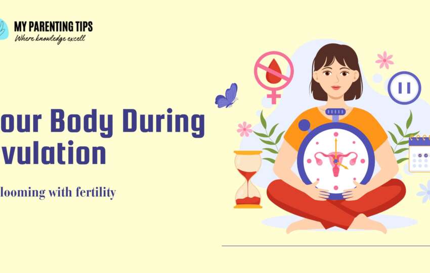 Your Body During Ovulation