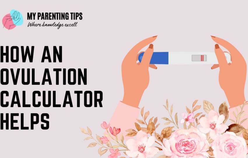 How an Ovulation Calculator Helps