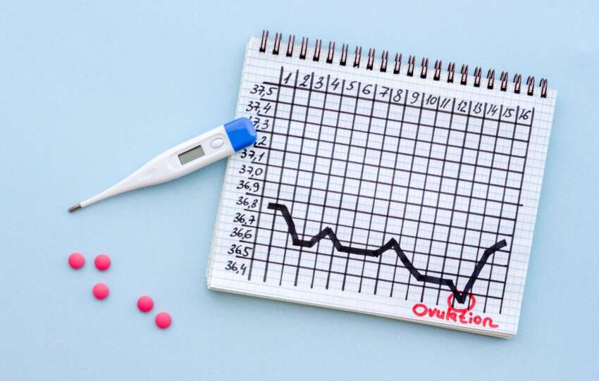 ovulation calculator